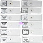 Laboratory Meiosis Slide Set (12 Pieces)